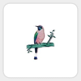 beautiful bird of nature bird toh Sticker